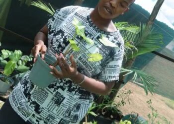 The most important life changing lessons may come from places or people you never thought of!