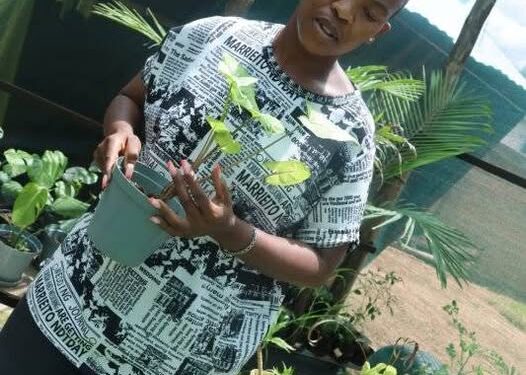 The most important life changing lessons may come from places or people you never thought of!