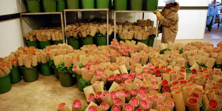Foreign flower firms flee Ethiopia!