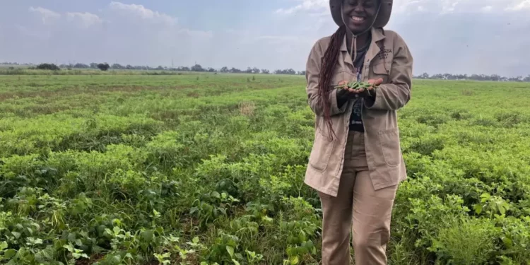 One Food: Four Food Tips for a Better you and a Healthier Planet!