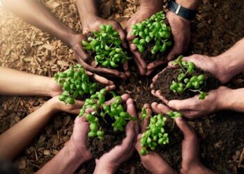 Happy Earth Day 2025!