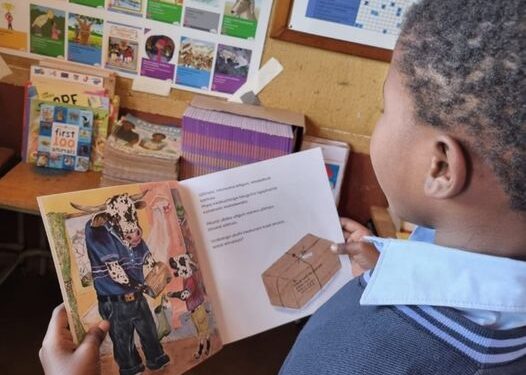 Gauteng Classroom Library Project by Zenex Foundation!