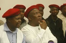 Julius Malema denied UK Visa!