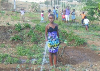 A garden to address the issues around Food Security!