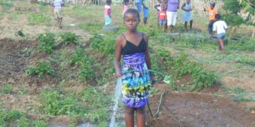 A garden to address the issues around Food Security!