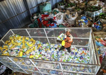 Petco’s annual results indicate good news!