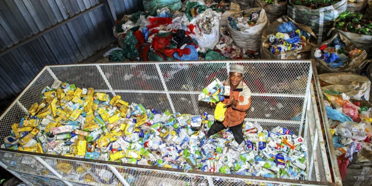 Petco’s annual results indicate good news!