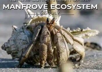 International Day for the Conservation of the Mangrove Ecosystem
