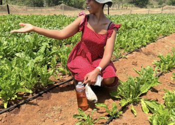 Show up daily, not only when you feel like it!