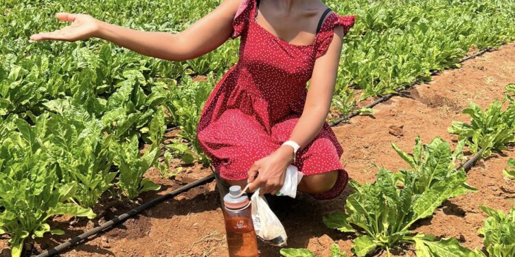 Show up daily, not only when you feel like it!