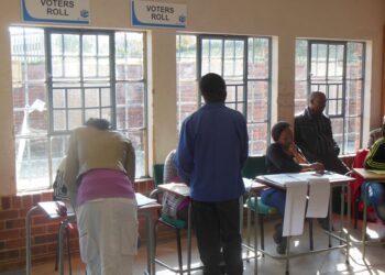 Vote in the Local Government Elections