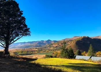 Spending the December holidays camping for the first time?