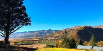 Spending the December holidays camping for the first time?