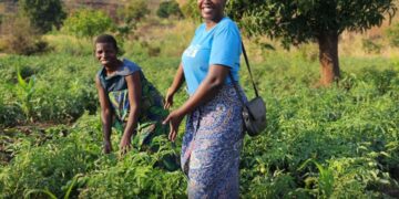 The World Health Organization is looking for dedicated professionals to support global health initiatives in Sudan