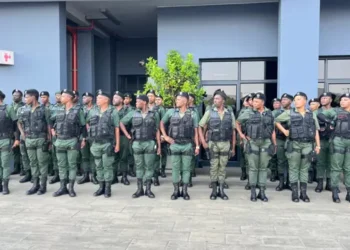 THE DECLARATION OF GAUTENG CRIME PREVENTION WARDENS AS PEACE OFFICERS