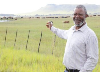 Declaring Foot and Mouth Disease (FMD) a disaster necessary but many in the agricultural sector feel it came too late