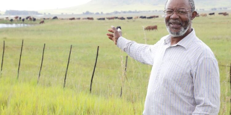 Declaring Foot and Mouth Disease (FMD) a disaster necessary but many in the agricultural sector feel it came too late