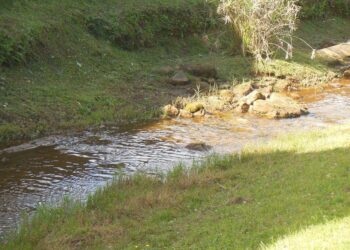 To achieve water for all, let us prevent pollution in our rivers!