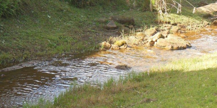 To achieve water for all, let us prevent pollution in our rivers!