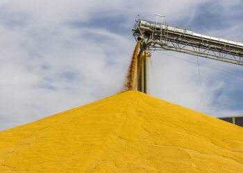 Your voice matters, demand food justice in South Africa