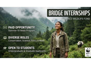WWF BRIDGE Paid Summer Internship 2026: Launch Your Career in Conservation and Sustainability