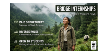 WWF BRIDGE Paid Summer Internship 2026: Launch Your Career in Conservation and Sustainability