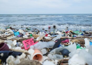 Plastic pollution is flooding our planet, harming people’s health!