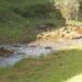 Building on Madiba’s legacy by expanding access to water