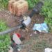 Report Water Leaks in your Community!