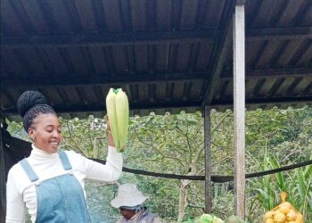 The Local Market – Women’s Day Market!