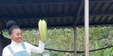 The Local Market – Women’s Day Market!