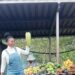 The Local Market – Women’s Day Market!
