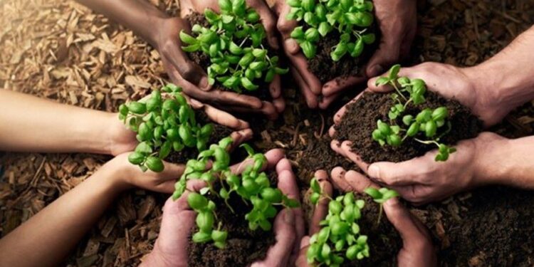 Arbor Month 2026